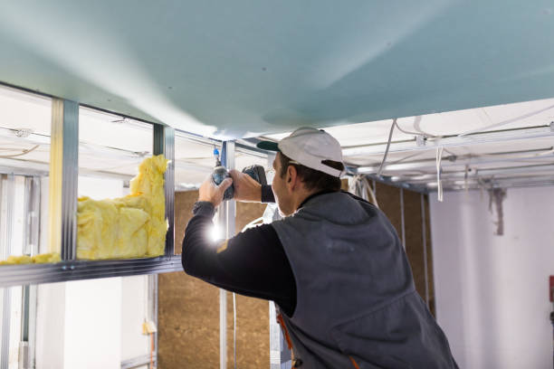 Best Eco-Friendly Insulation in Kinder, LA