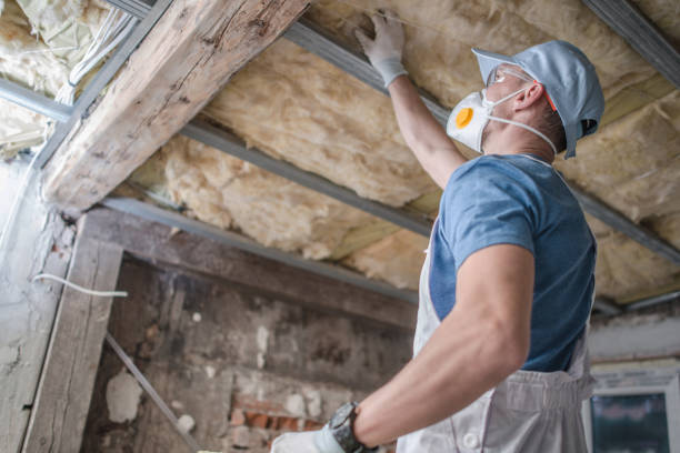 Best Geographic-Specific Insulation Services in Kinder, LA