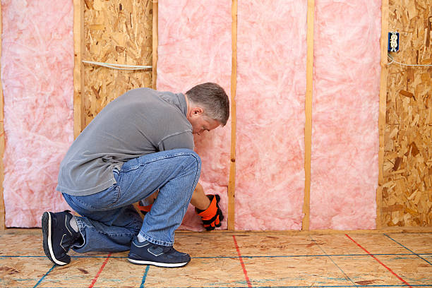 Best DIY Insulation Kits and Guidance in Kinder, LA