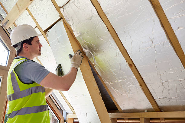 Best Geographic-Specific Insulation Services in Kinder, LA